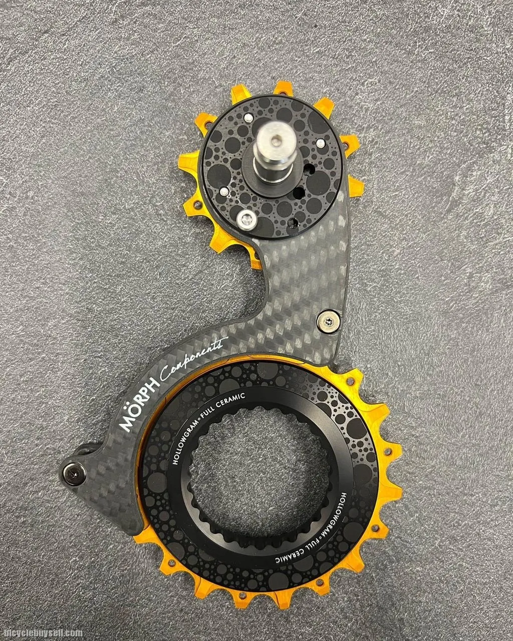 MORPH HOLLOWGRAM OVERSIZE PULLEY