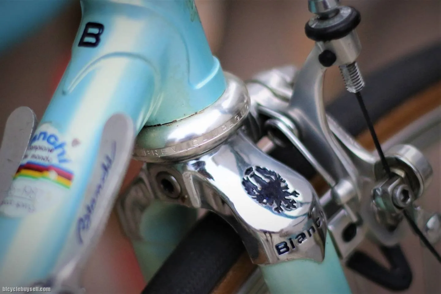 Bianchi Specialissima Reparto Corse 1986 Vintage with Super Record