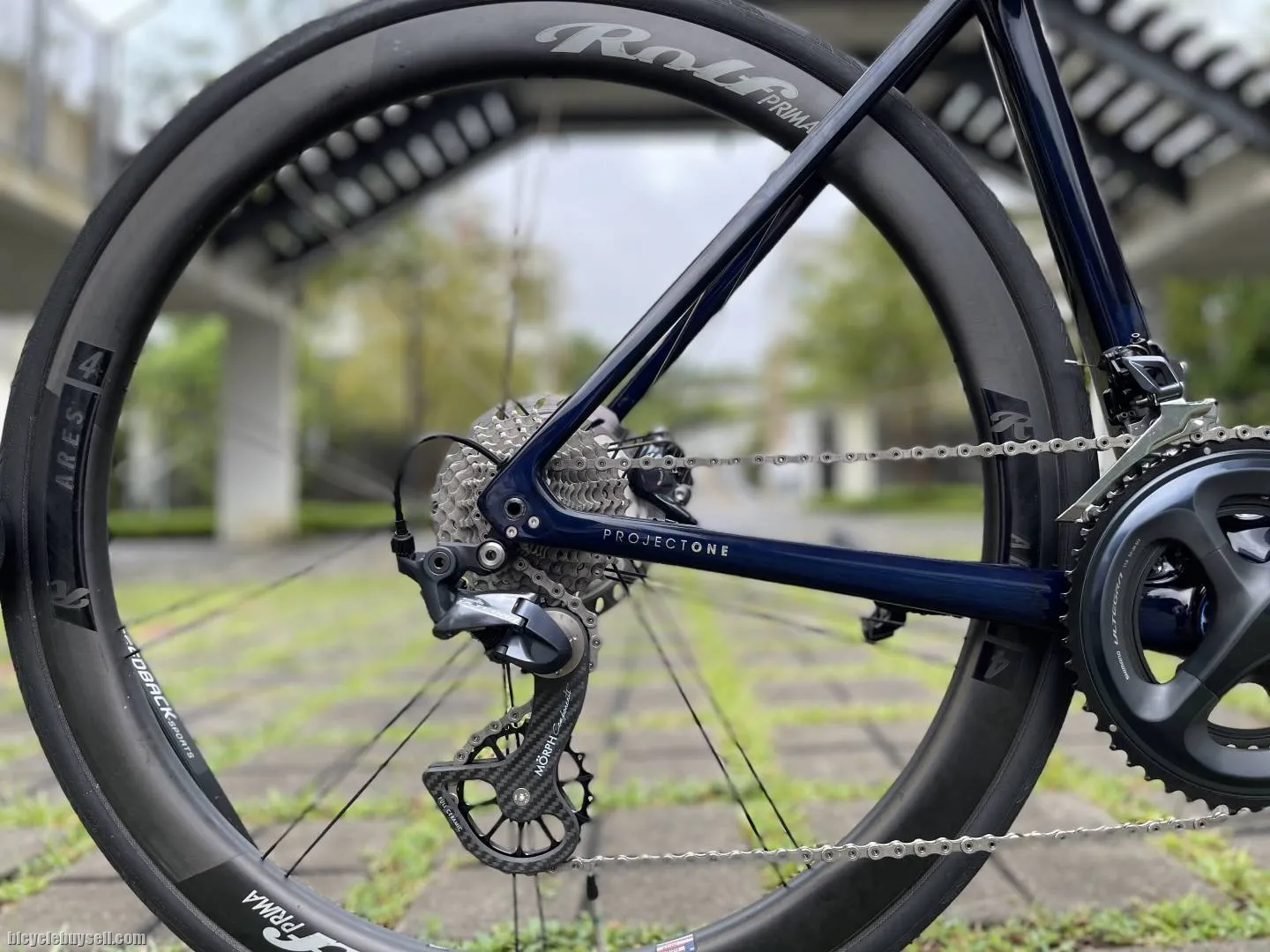 Trek Emonda SLR Project One Segafredo 2022