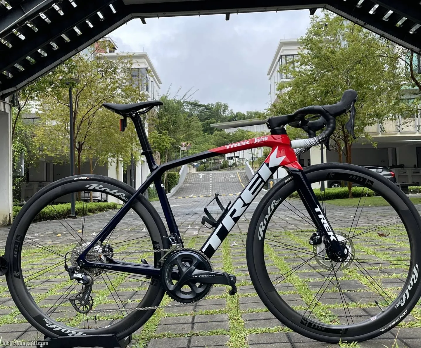 Trek Emonda SLR Project One Segafredo 2022