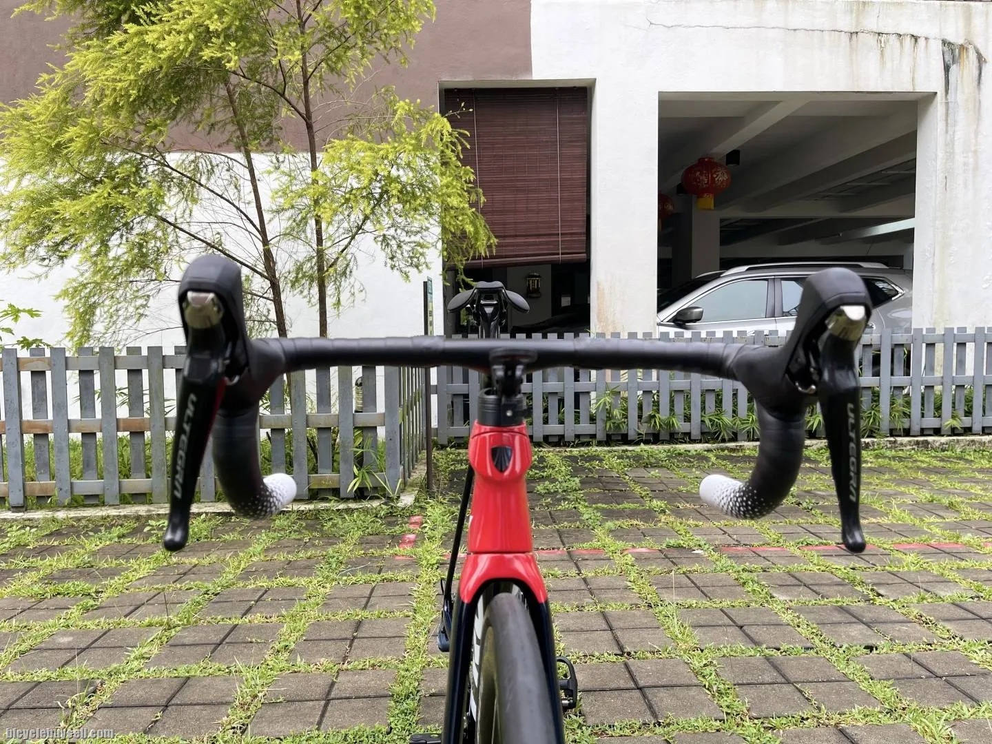 Trek Emonda SLR Project One Segafredo 2022
