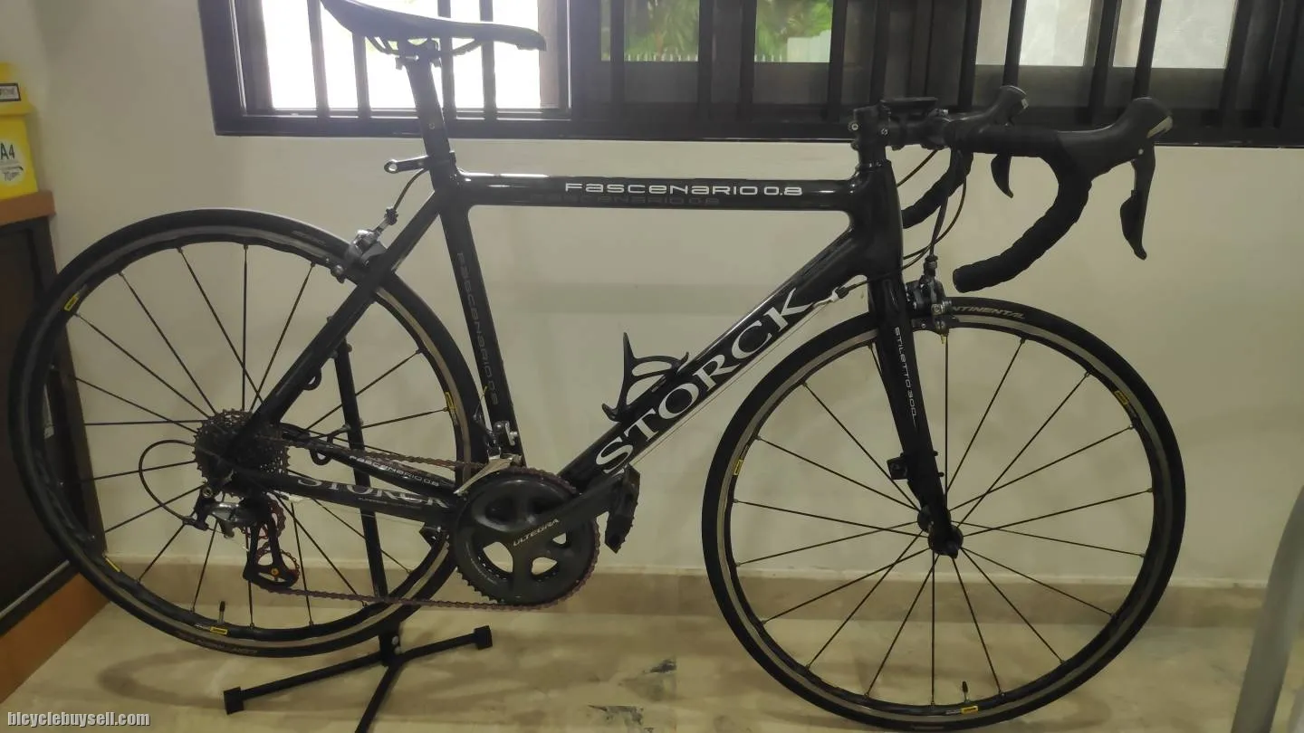 Storck Fascenario 0.8