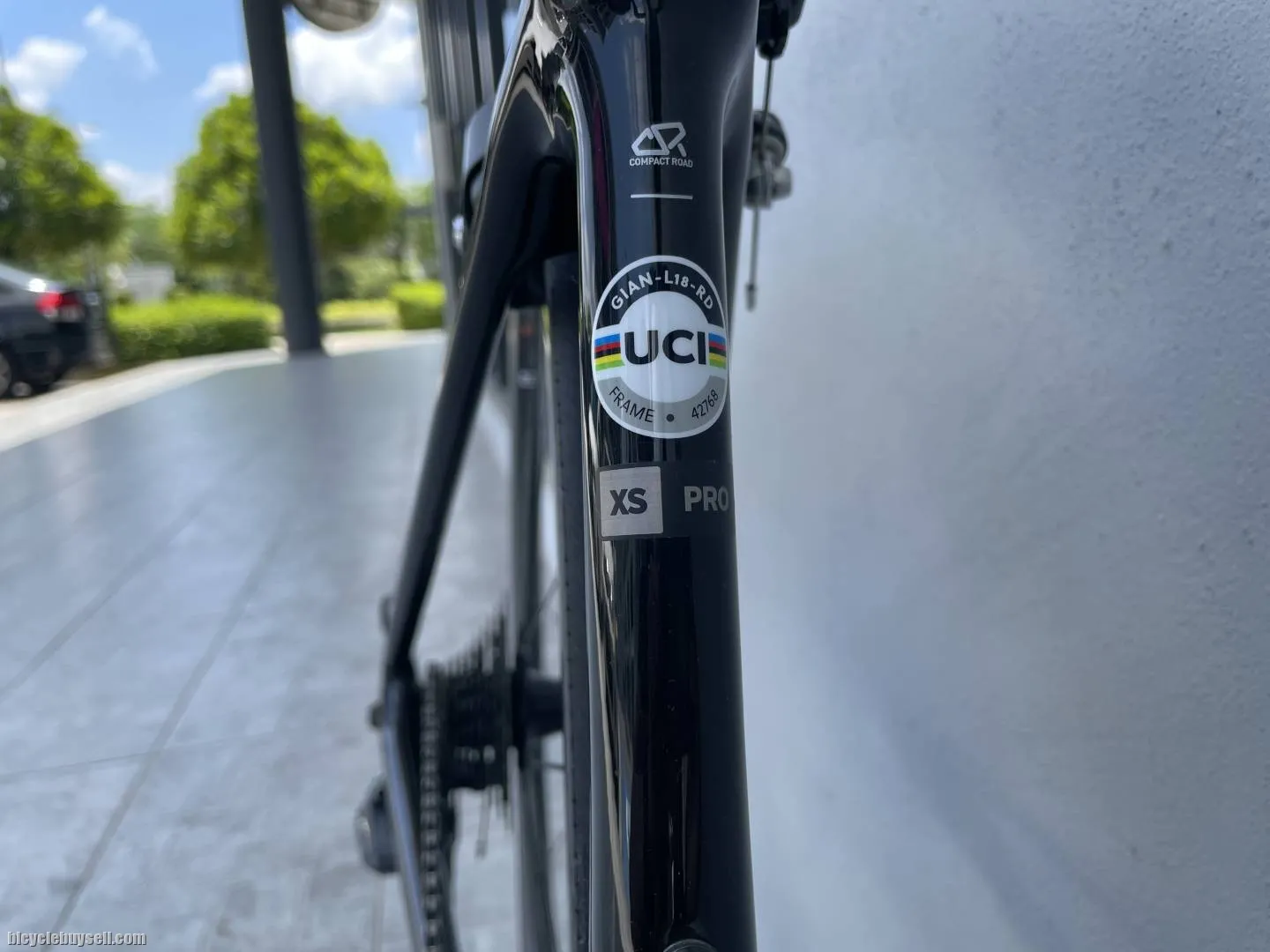 Giant Liv Langma Pro 1 rim
