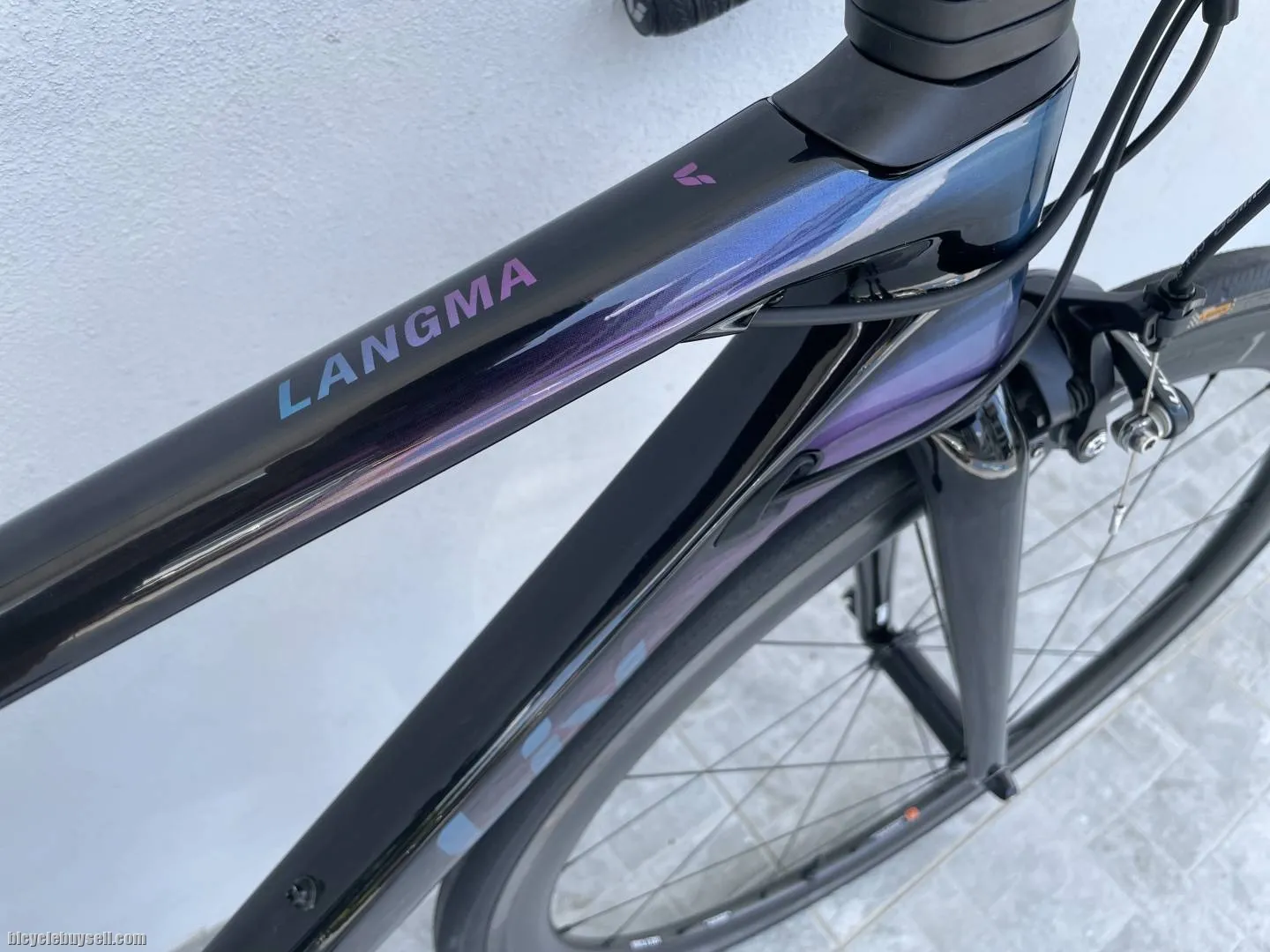 Giant Liv Langma Pro 1 rim