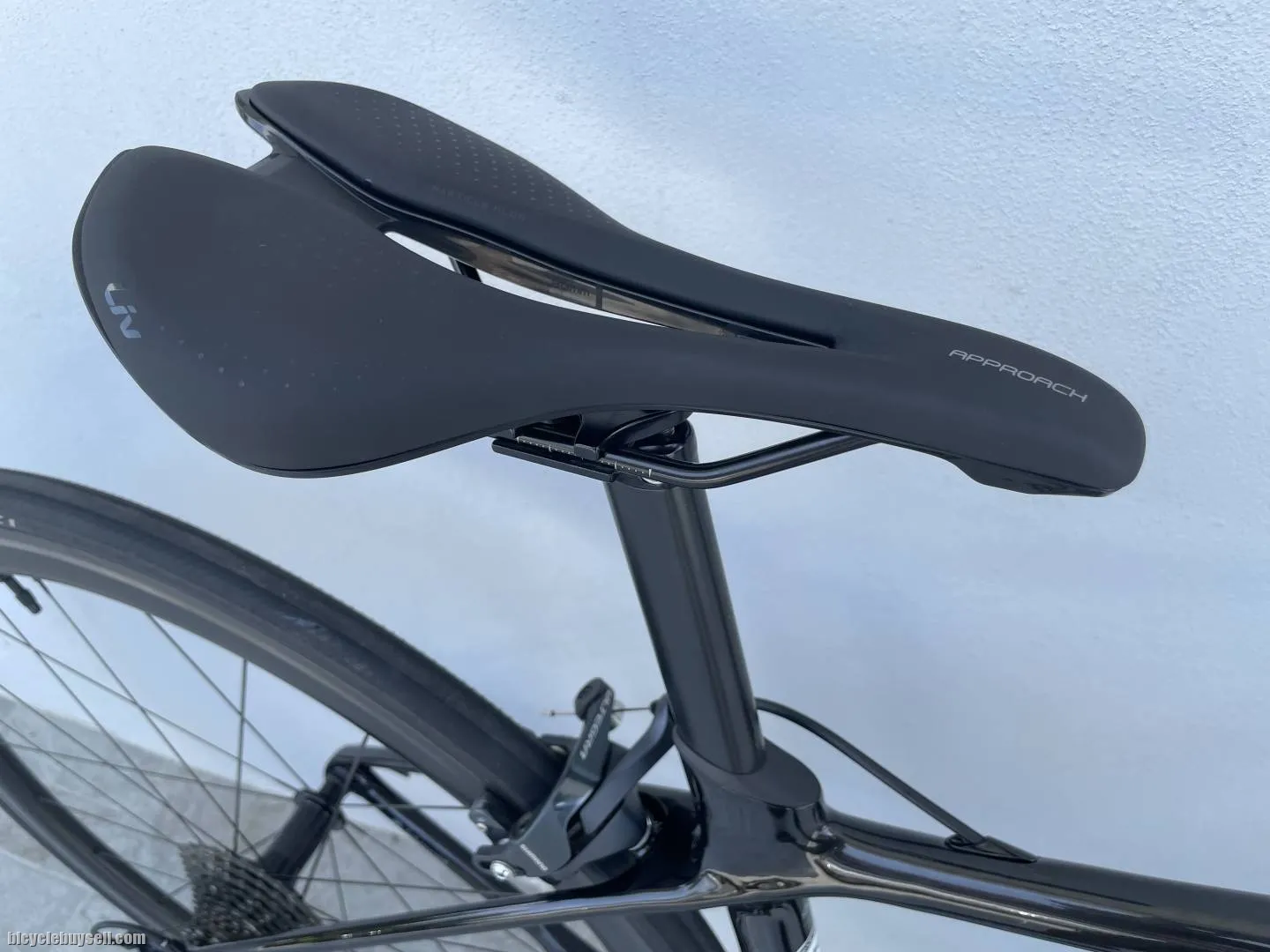 Giant Liv Langma Pro 1 rim