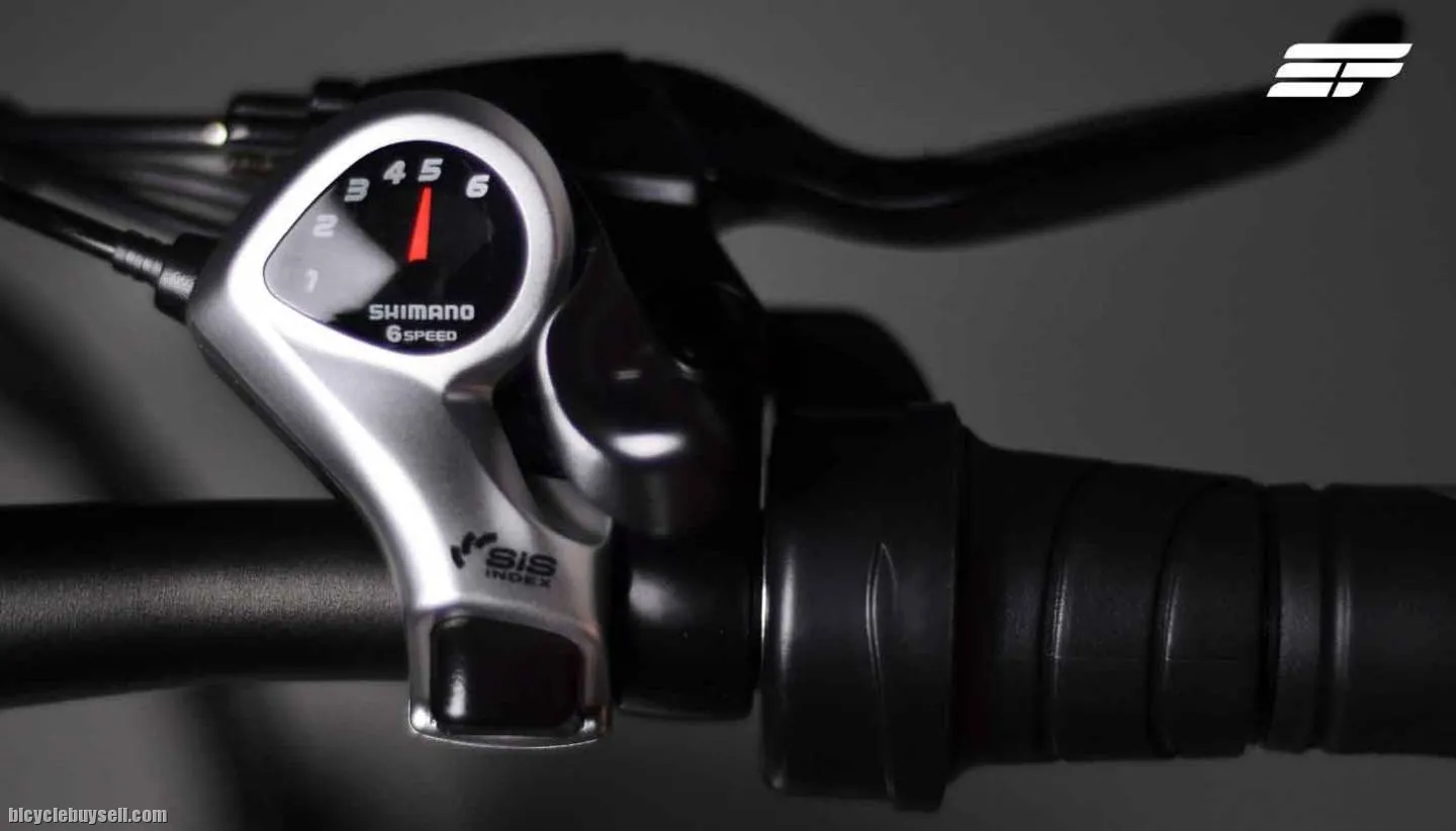 Electric Bicycle Fiido D2S