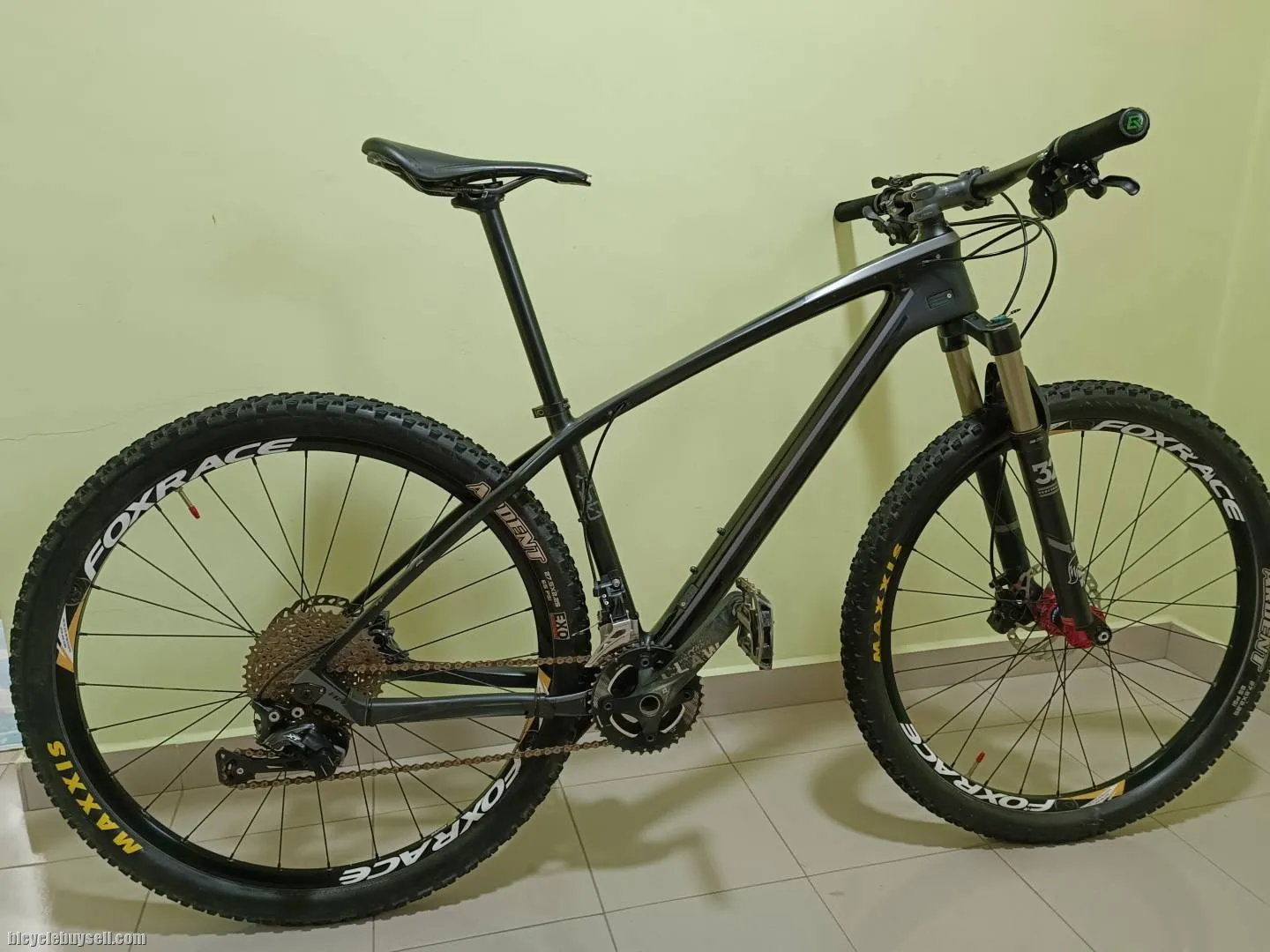 Haibike (carbon)