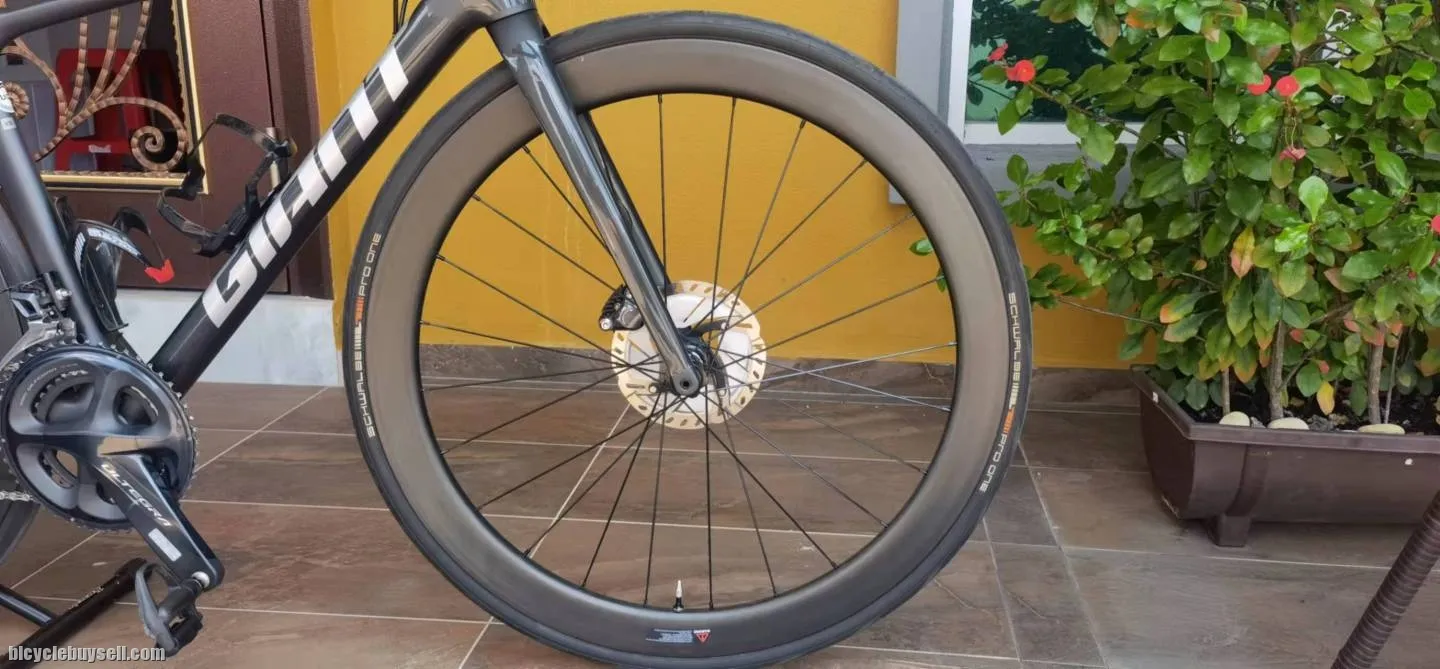 50mm carbon rimï¼ˆrim onlyï¼‰
