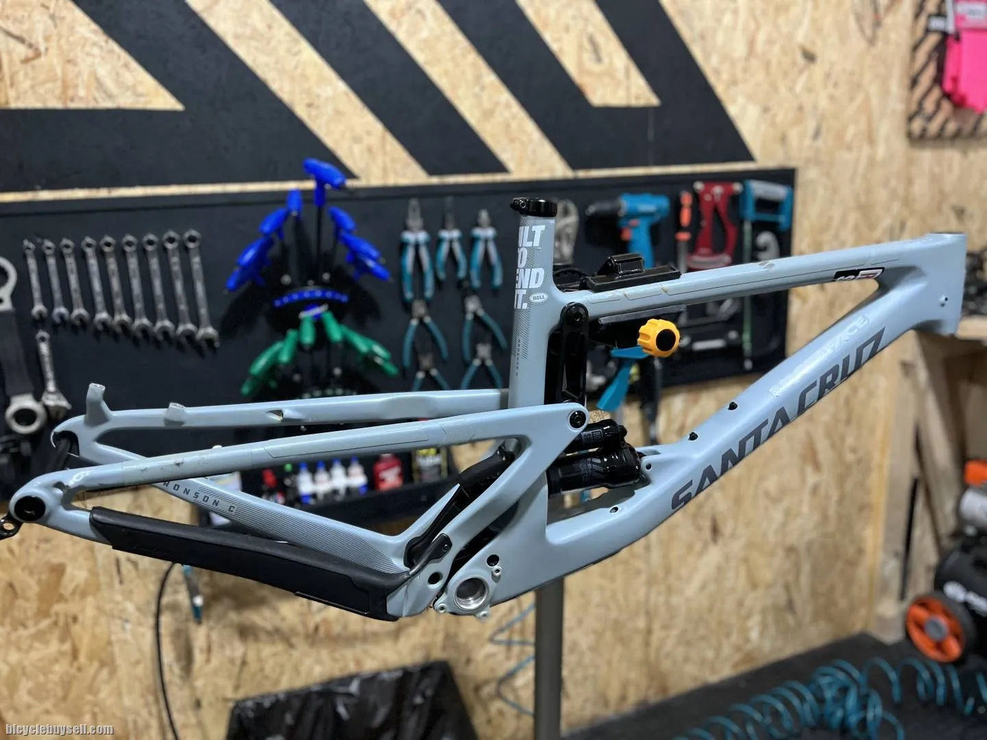 Santacruz Bronson C