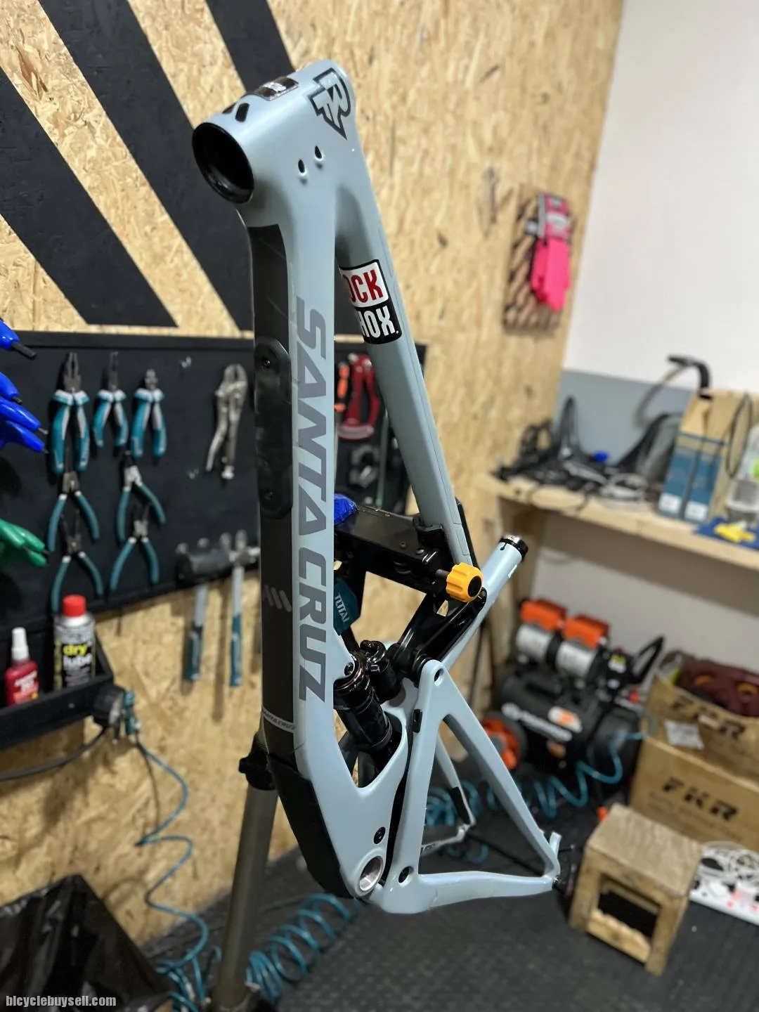 Santacruz Bronson C