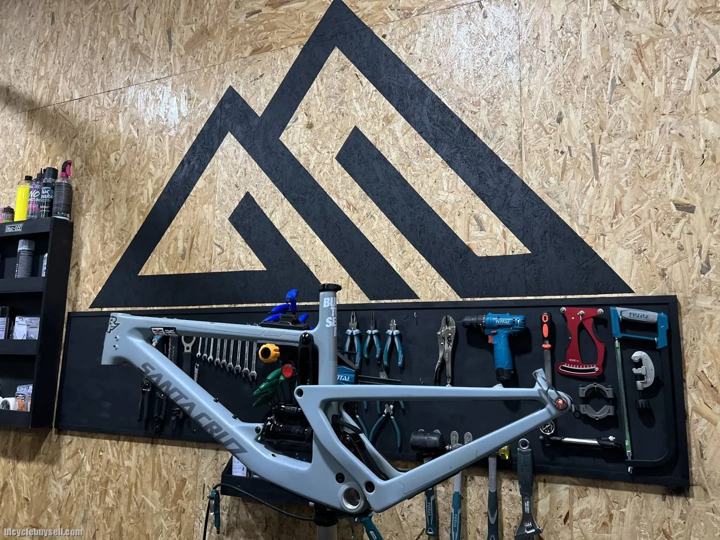 Santacruz Bronson C