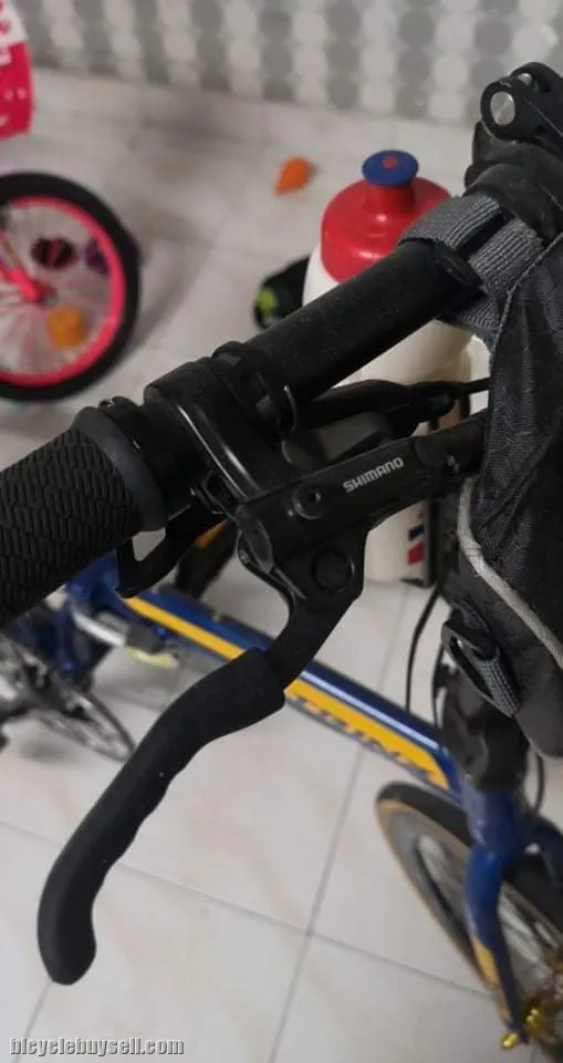 Folding bike fully upgrade trinx dolphin 2.0