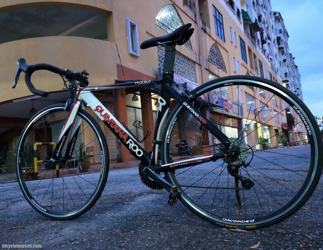Quintana Roo (Tequilo) Original USA Brand NEW Frame Nego