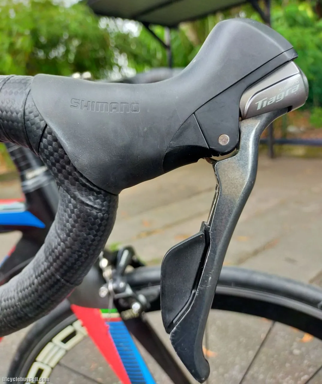 Roadbike Java Fuoco Tiagra Clearance Raya26