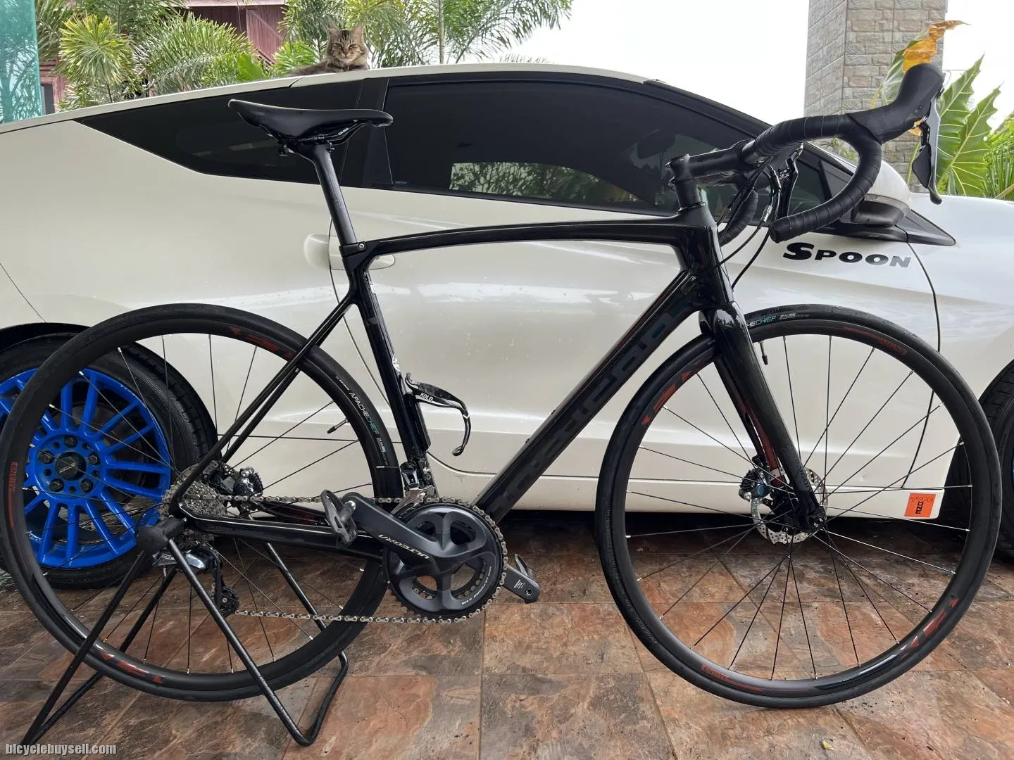 2020 polygon stratos s8 disc