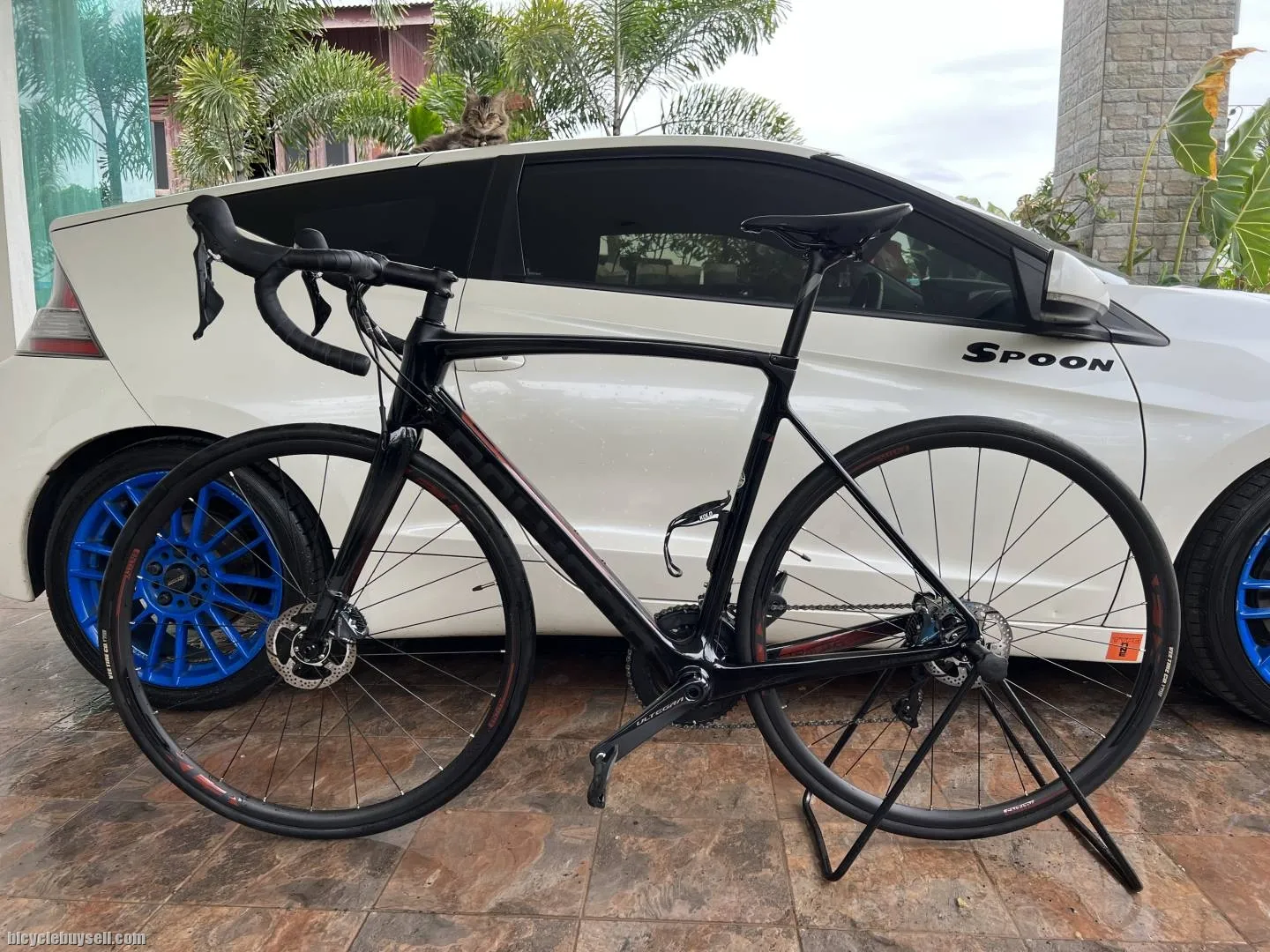 2020 polygon stratos s8 disc