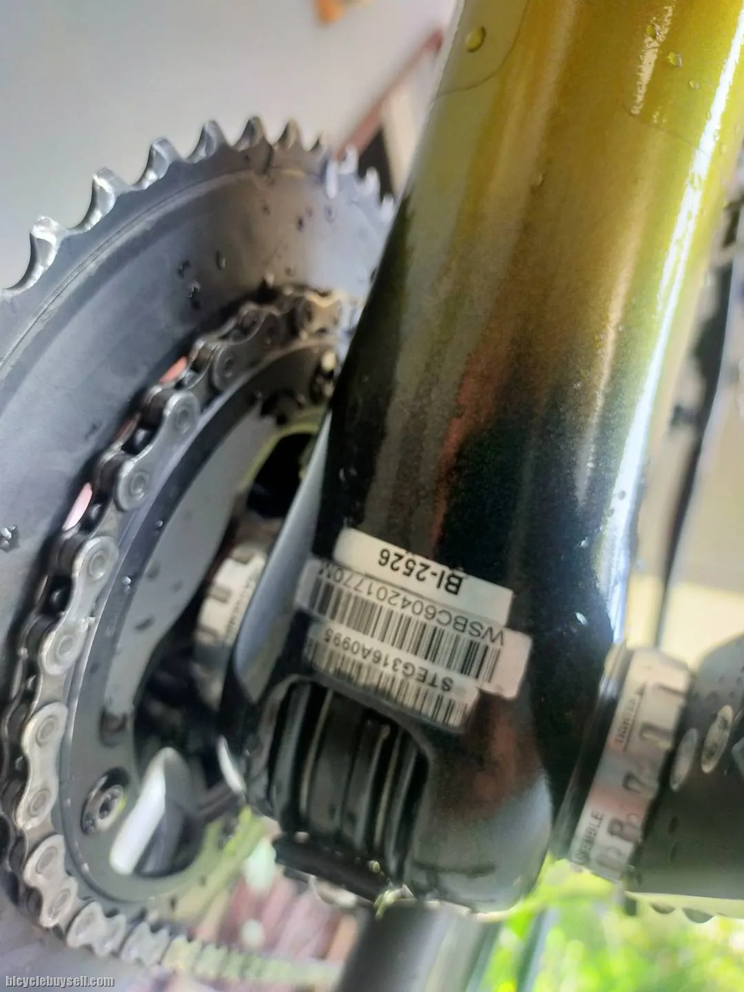 Specialized Roubaix SL4