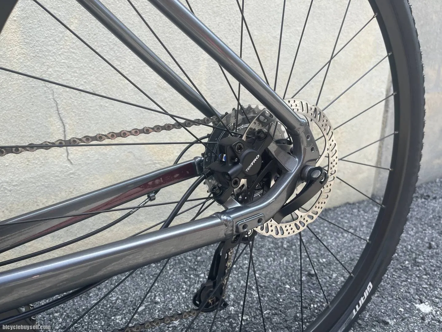 Giant Roam 2 Disc