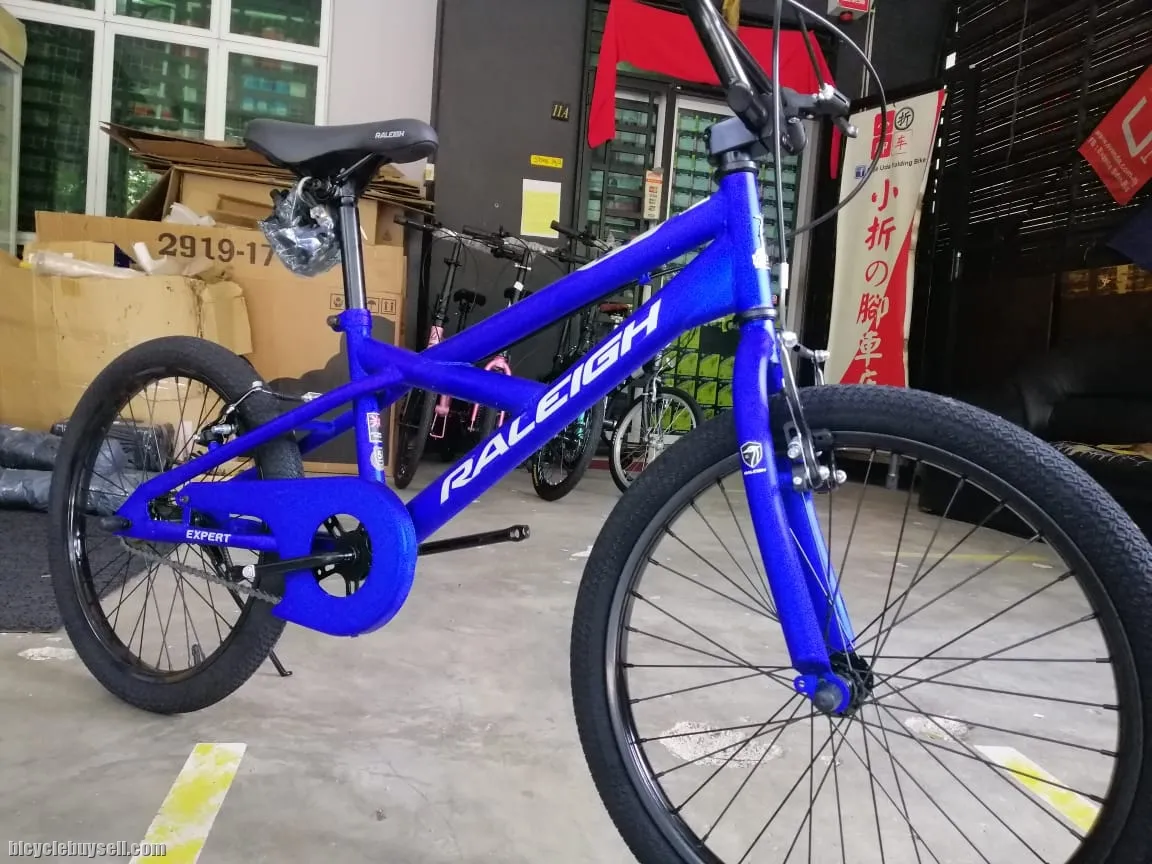 20â€ raleigh expert bmx bike basikal