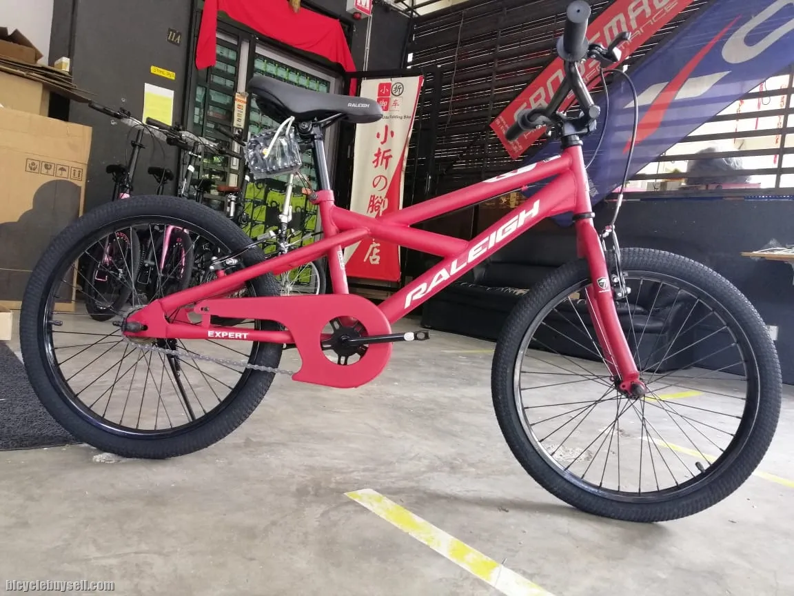 20â€ raleigh expert bmx bike basikal