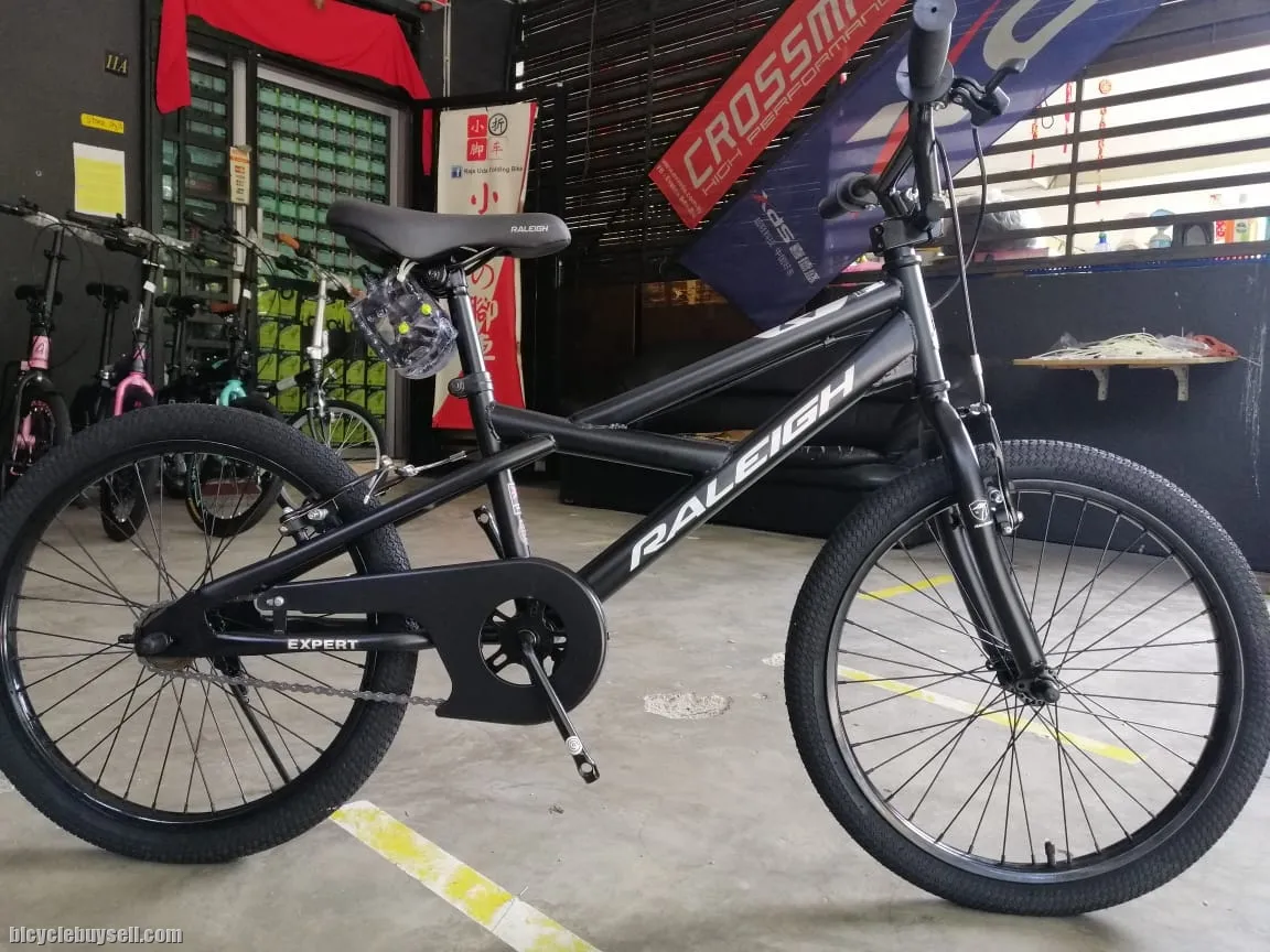 20â€ raleigh expert bmx bike basikal