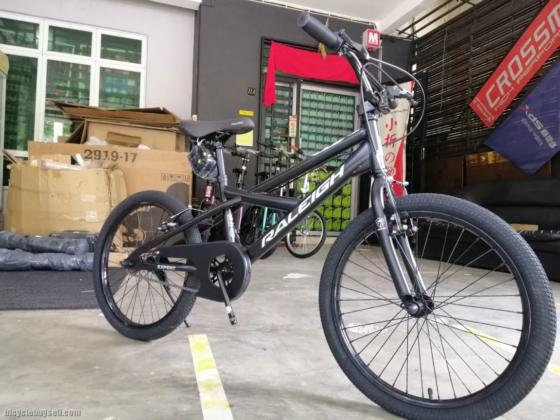 20â€ raleigh expert bmx bike basikal