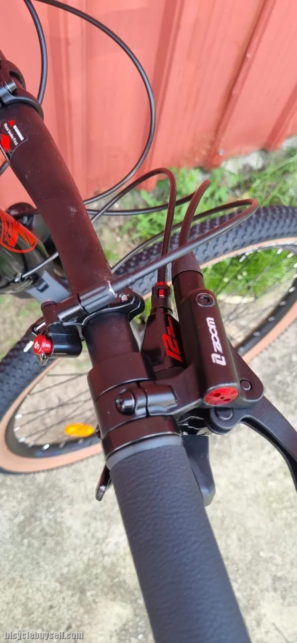 Twitter Leopard Carbon - (29er) LtWoo (12 speeds) Brand New !!!