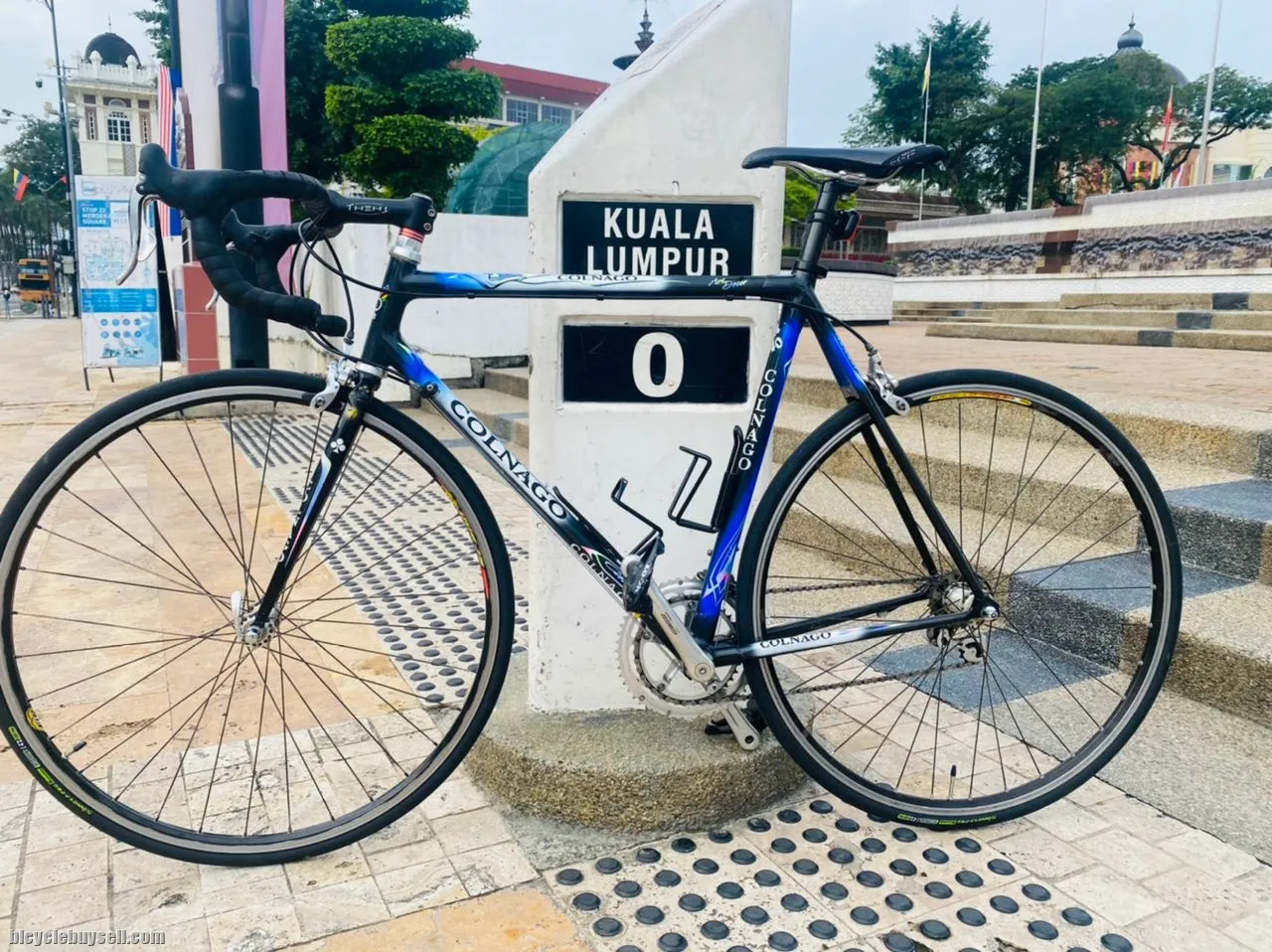 Conalgo c40 Art Decor Campagnolo