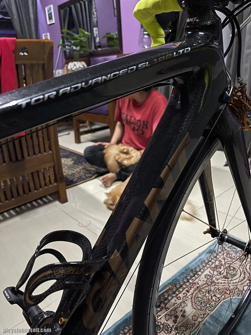 GIANT TCR ADVANCED SL 100 LTD (35/100)