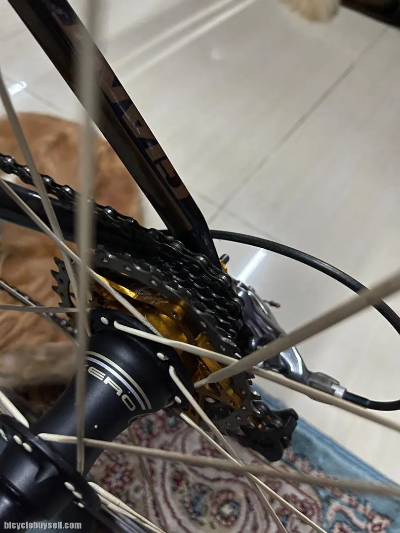GIANT TCR ADVANCED SL 100 LTD (35/100)