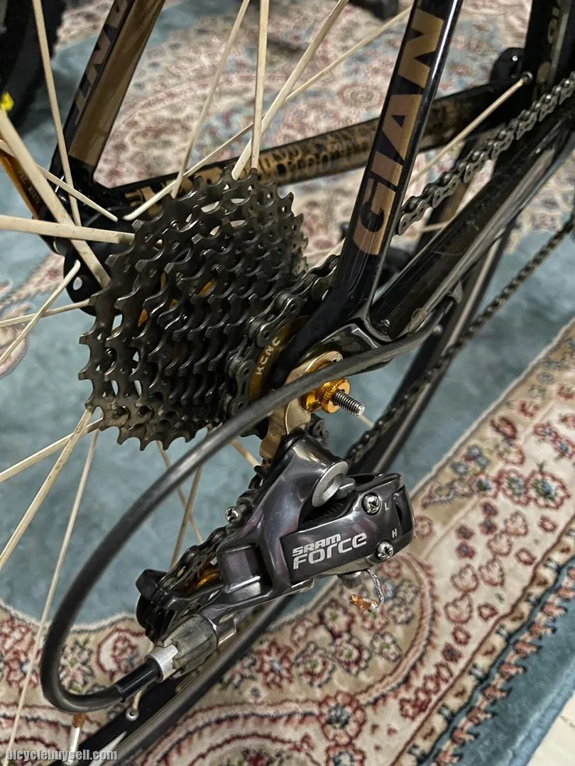 GIANT TCR ADVANCED SL 100 LTD (35/100)