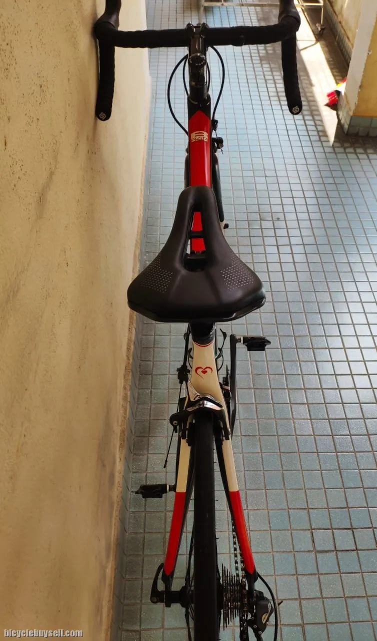 De Rosa R848