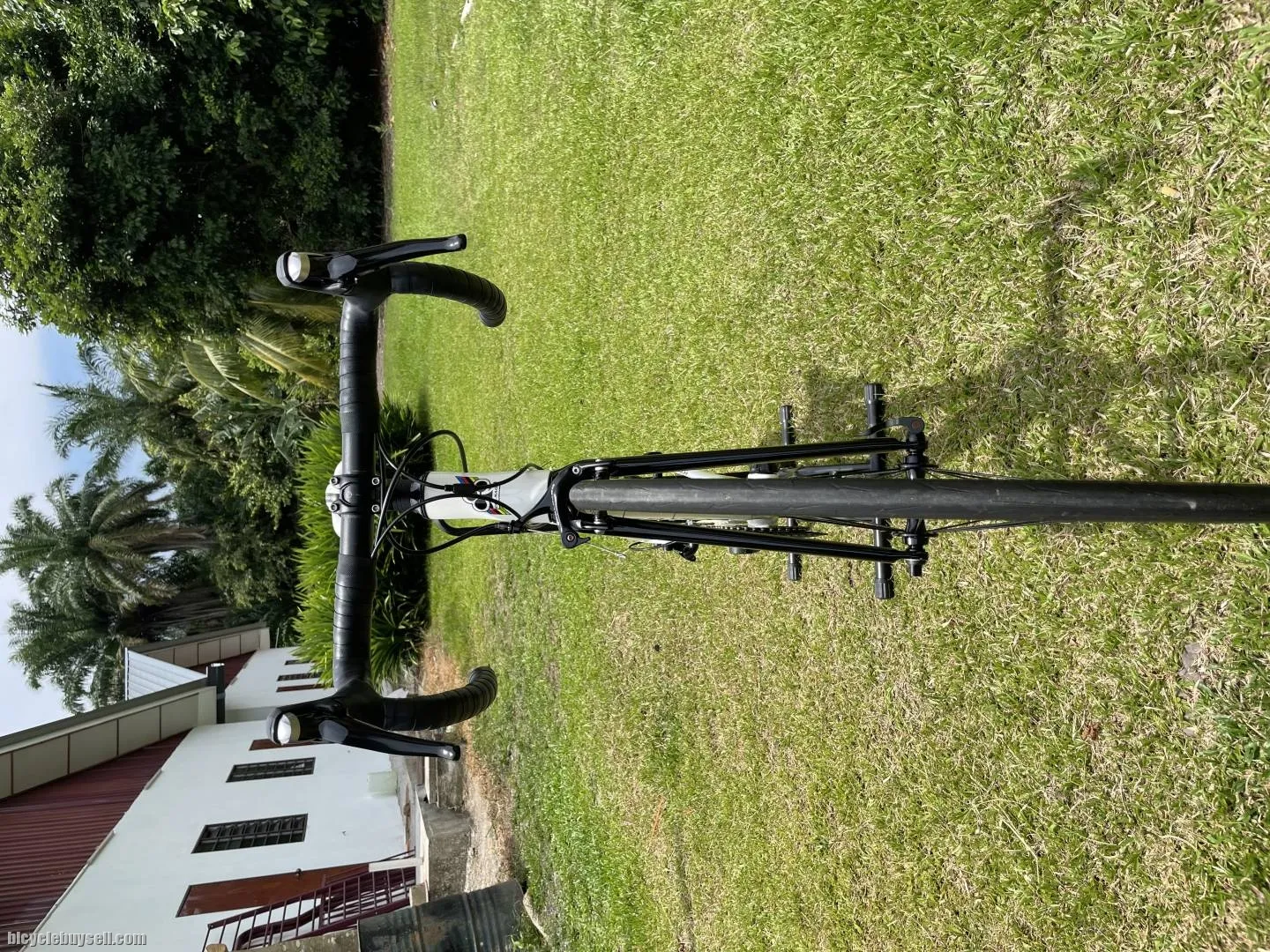 Colnago A1R (White Italic)