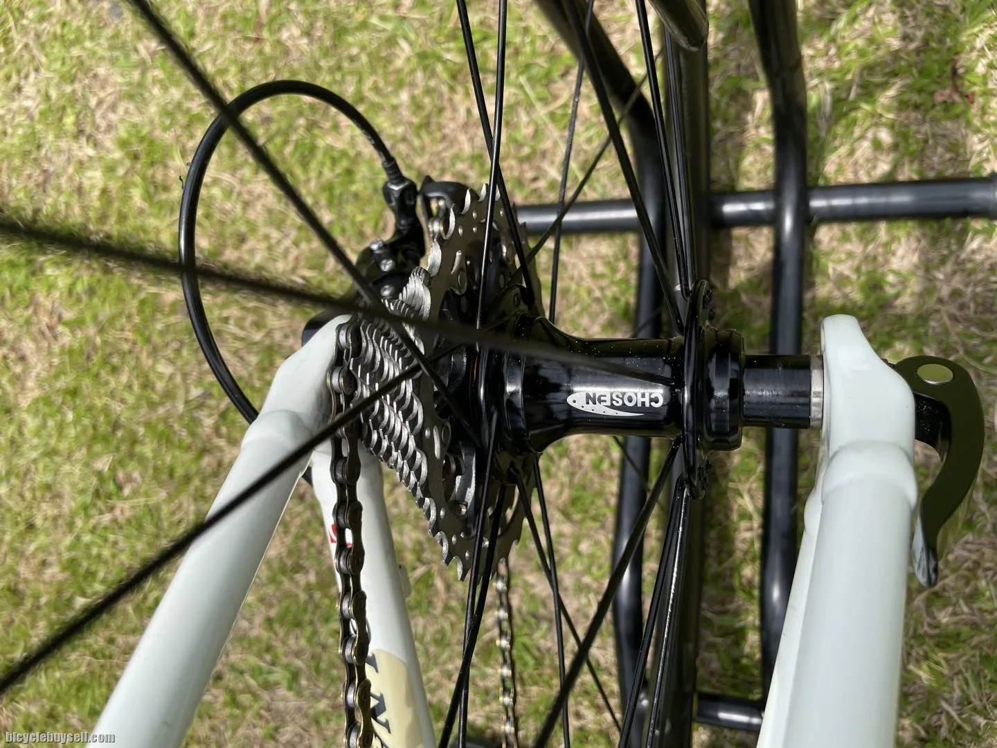 Colnago A1R (White Italic)