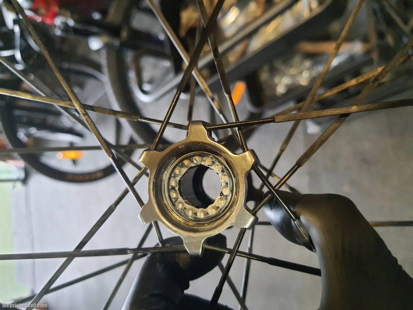 Shimano Wheelset Bearing Service