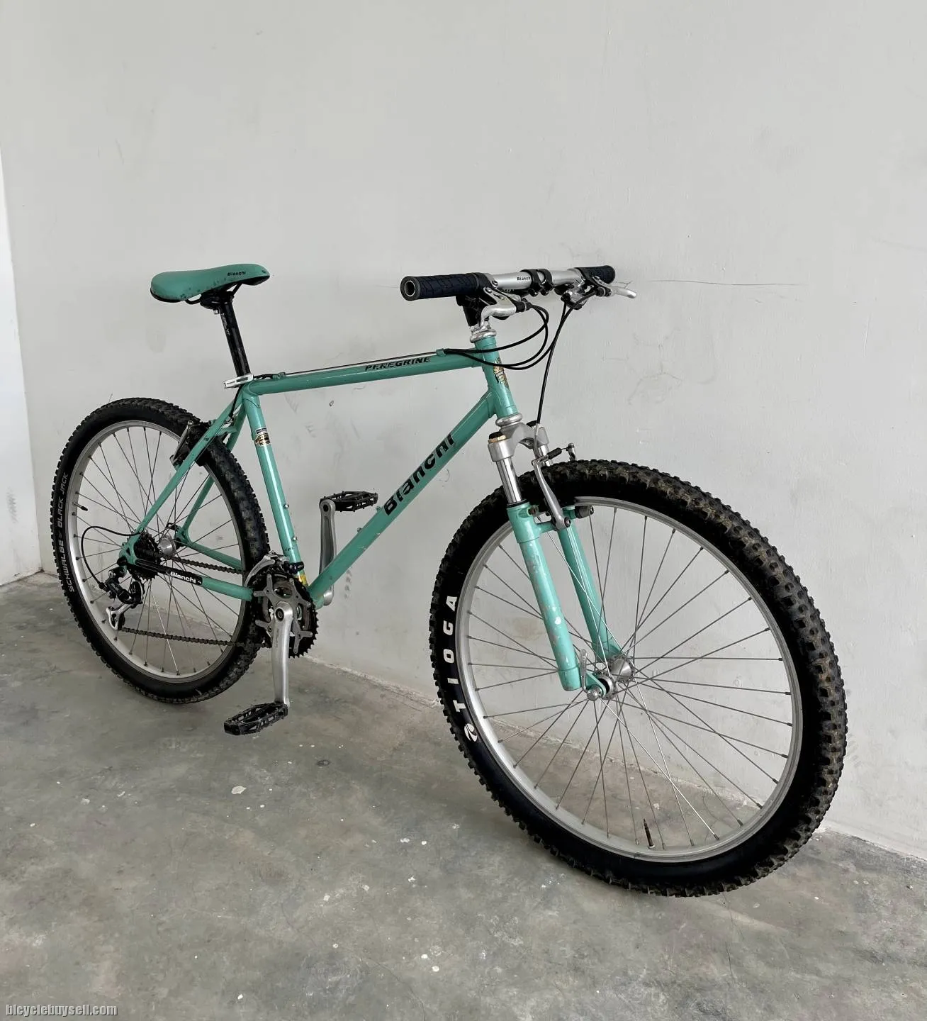 BIANCHI PEREGRINE