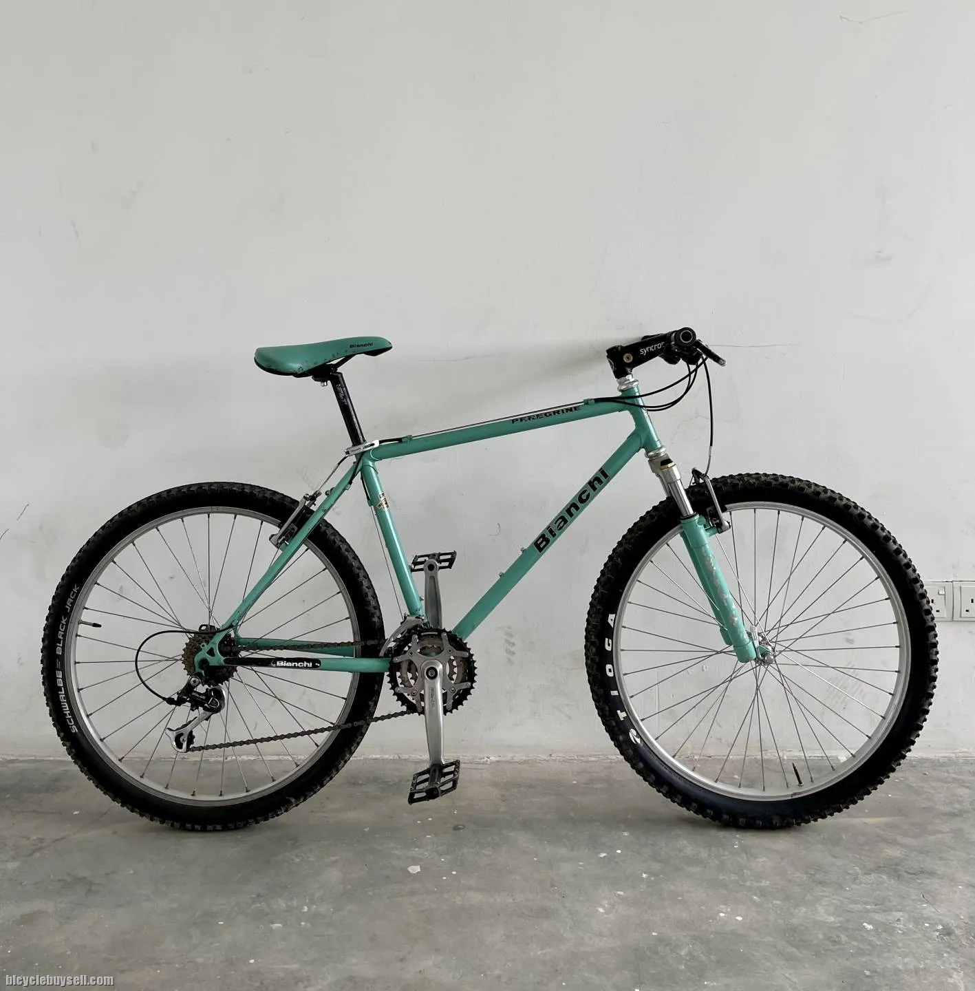 BIANCHI PEREGRINE