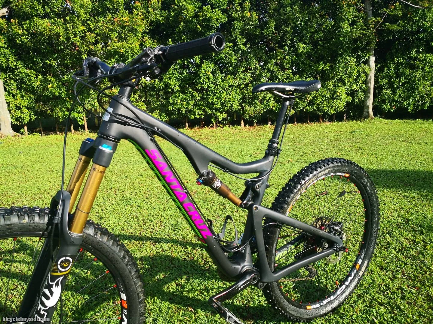 Santa Cruz Bronson