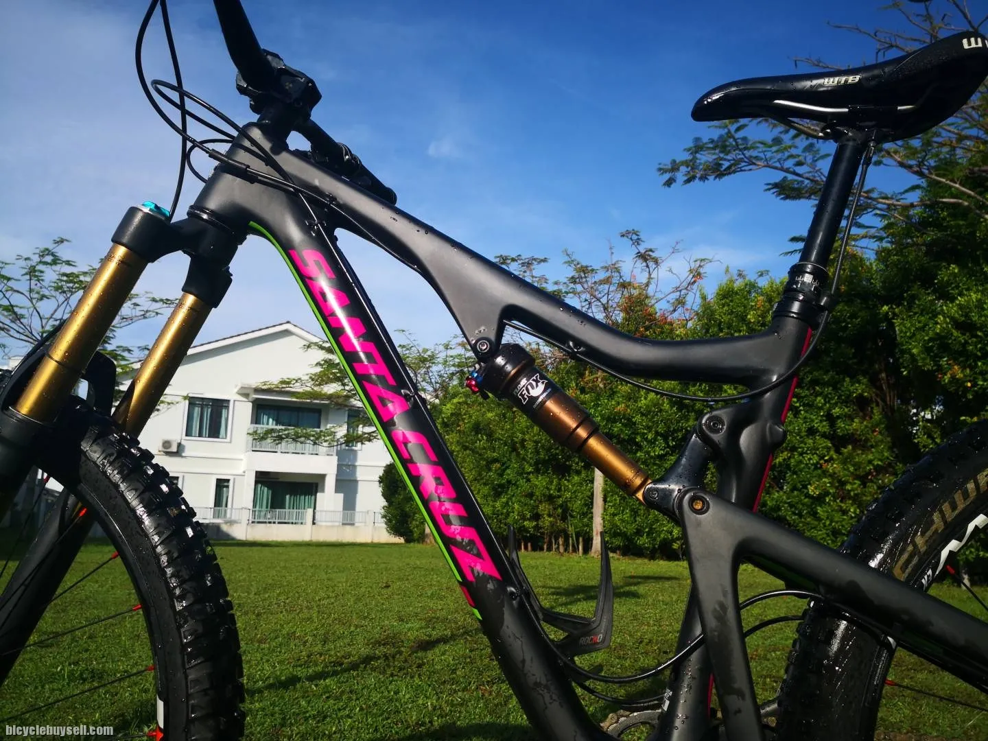 Santa Cruz Bronson