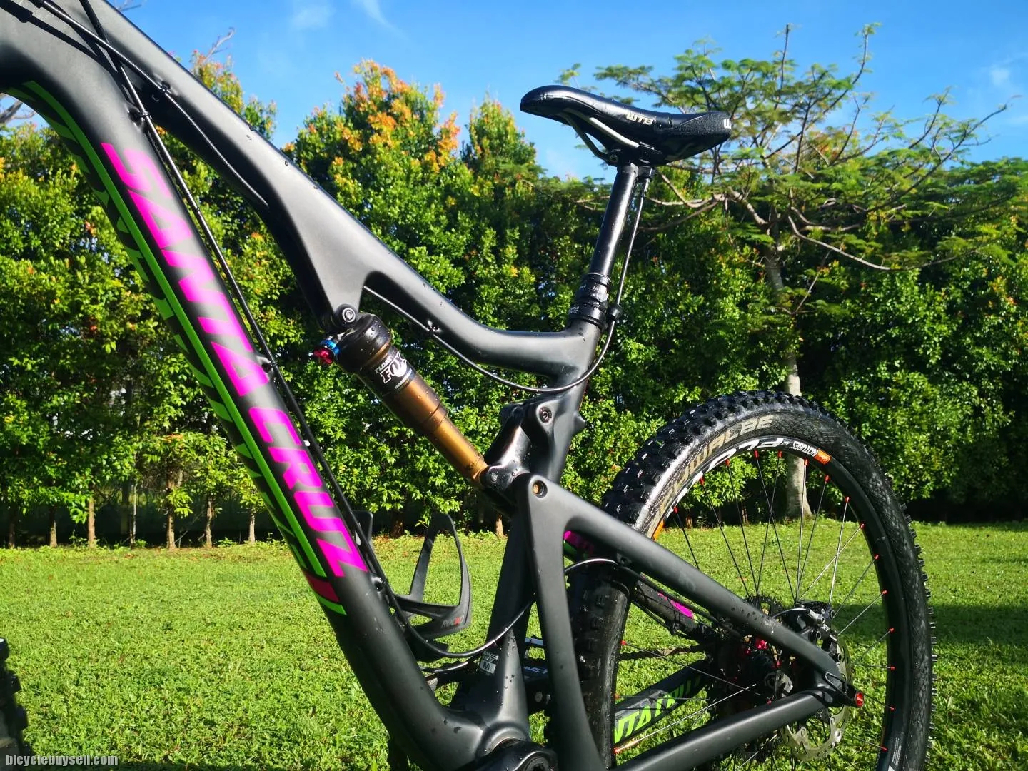 Santa Cruz Bronson