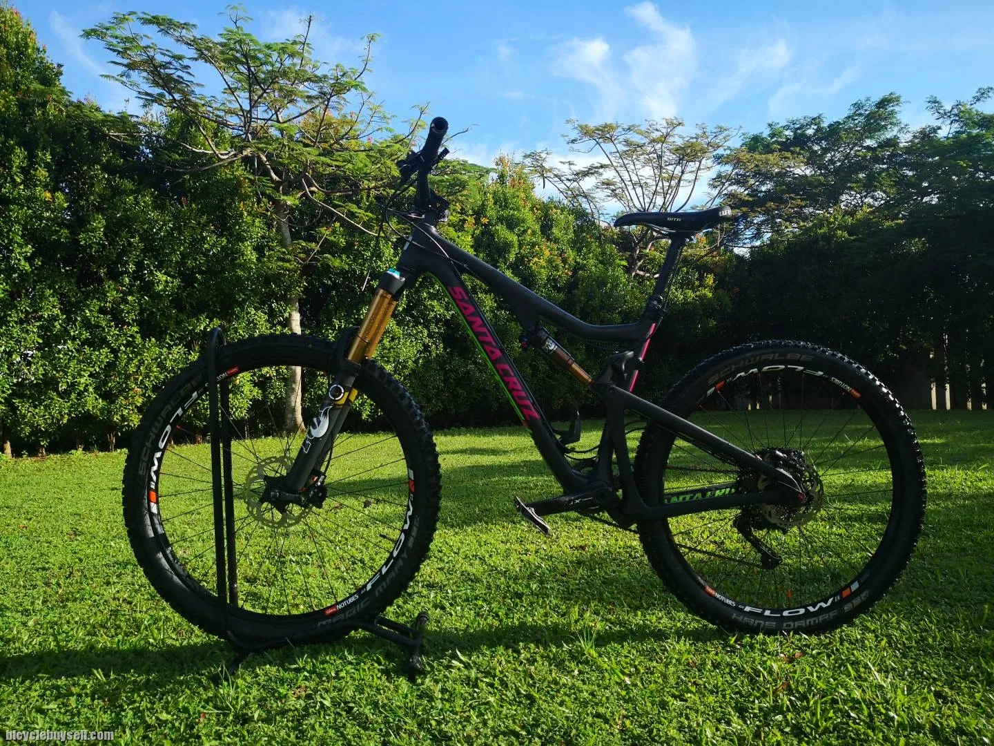 Santa Cruz Bronson