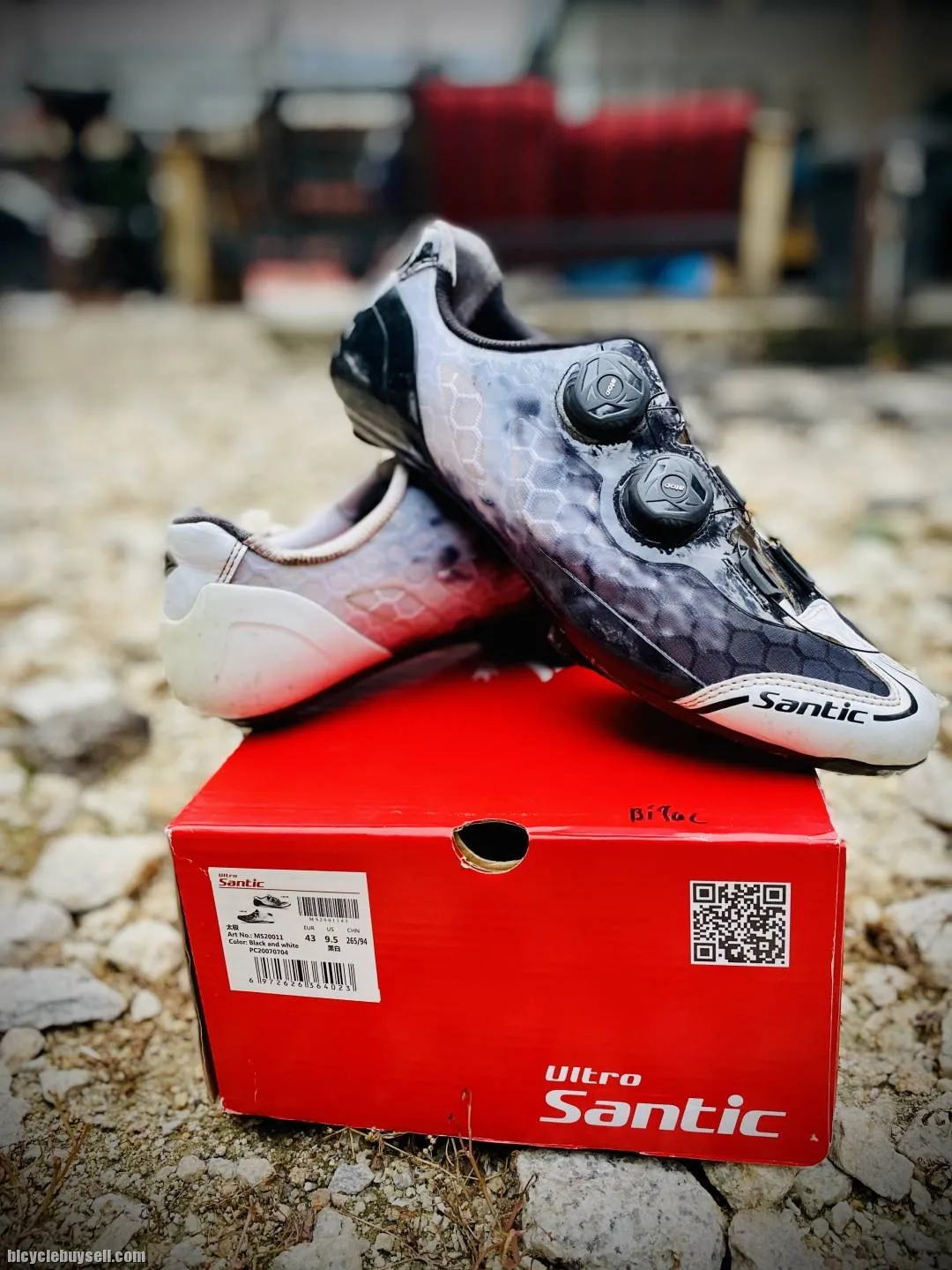 Santic full carbon RB shoes (flagship)
