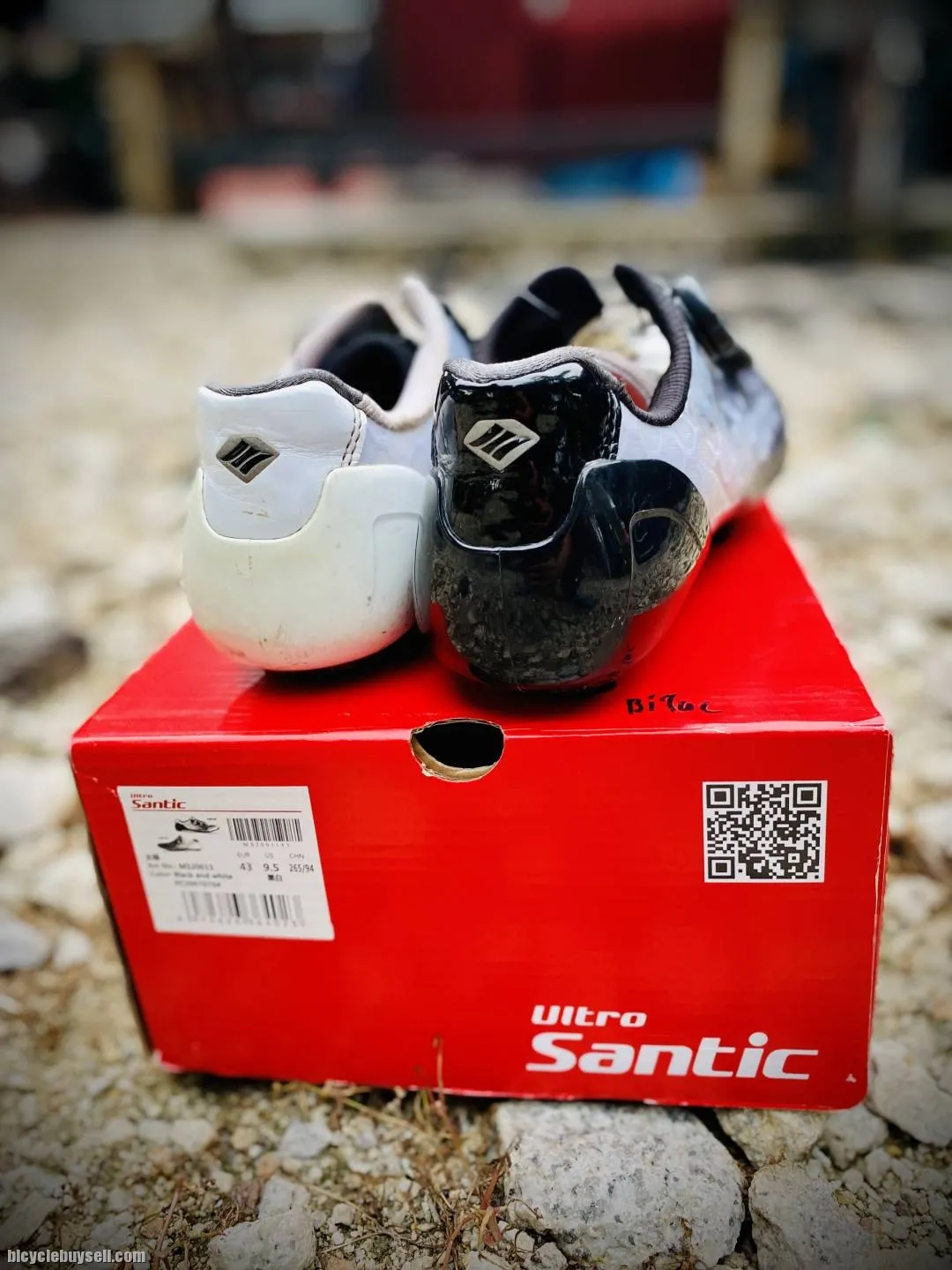 Santic full carbon RB shoes (flagship)