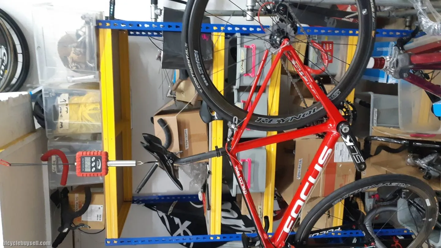 Focus Izalco Max Complete Bike