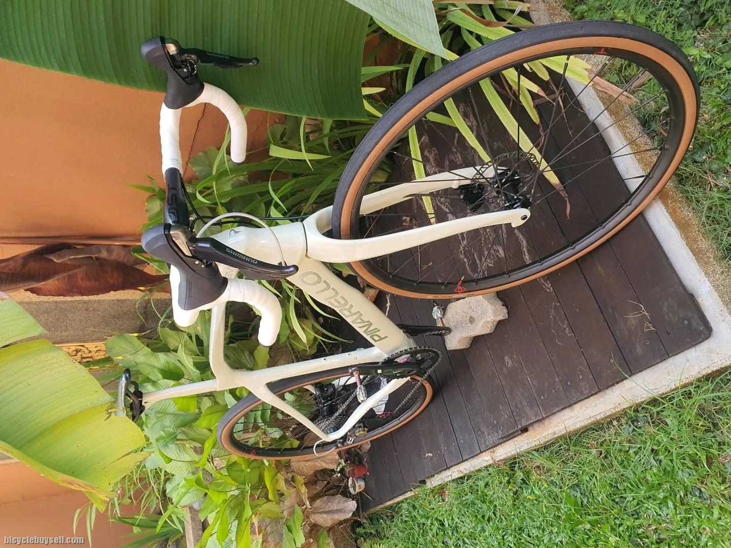 Pinarello Grevil+ size 560