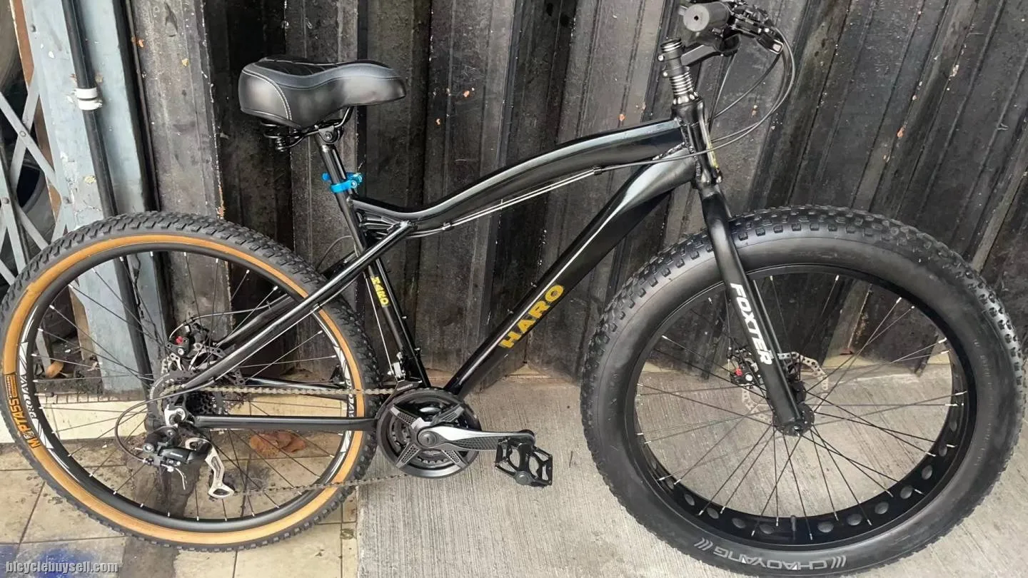 Haro Alloy Frame Retro Bike Front Fat Wheel Bike