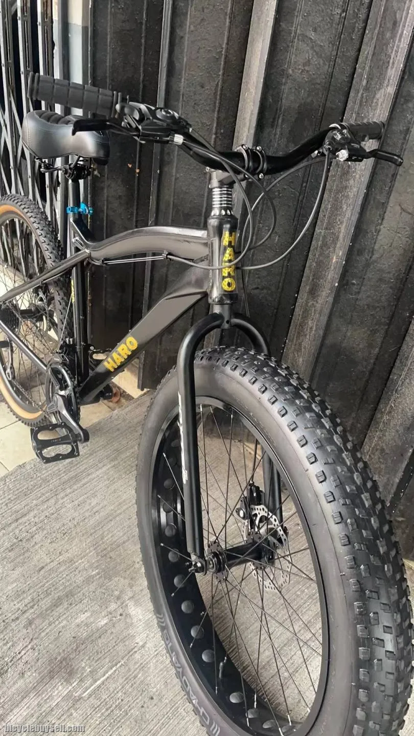 Haro Alloy Frame Retro Bike Front Fat Wheel Bike