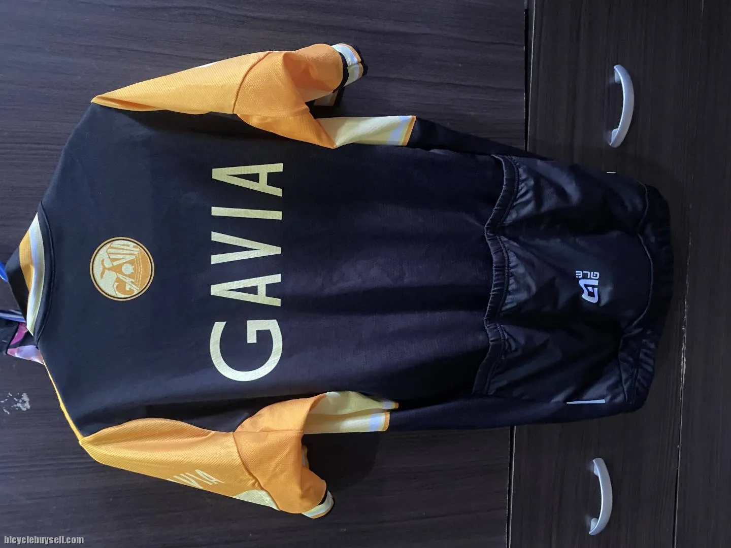 Ale gavia jersey