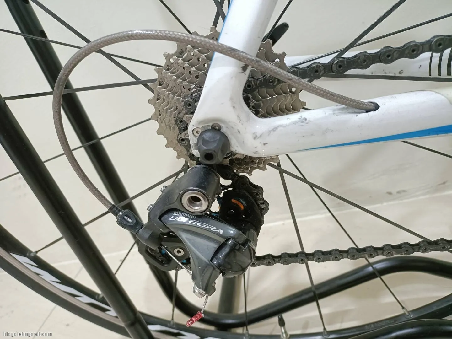 Giant Propel with Ultegra g/set