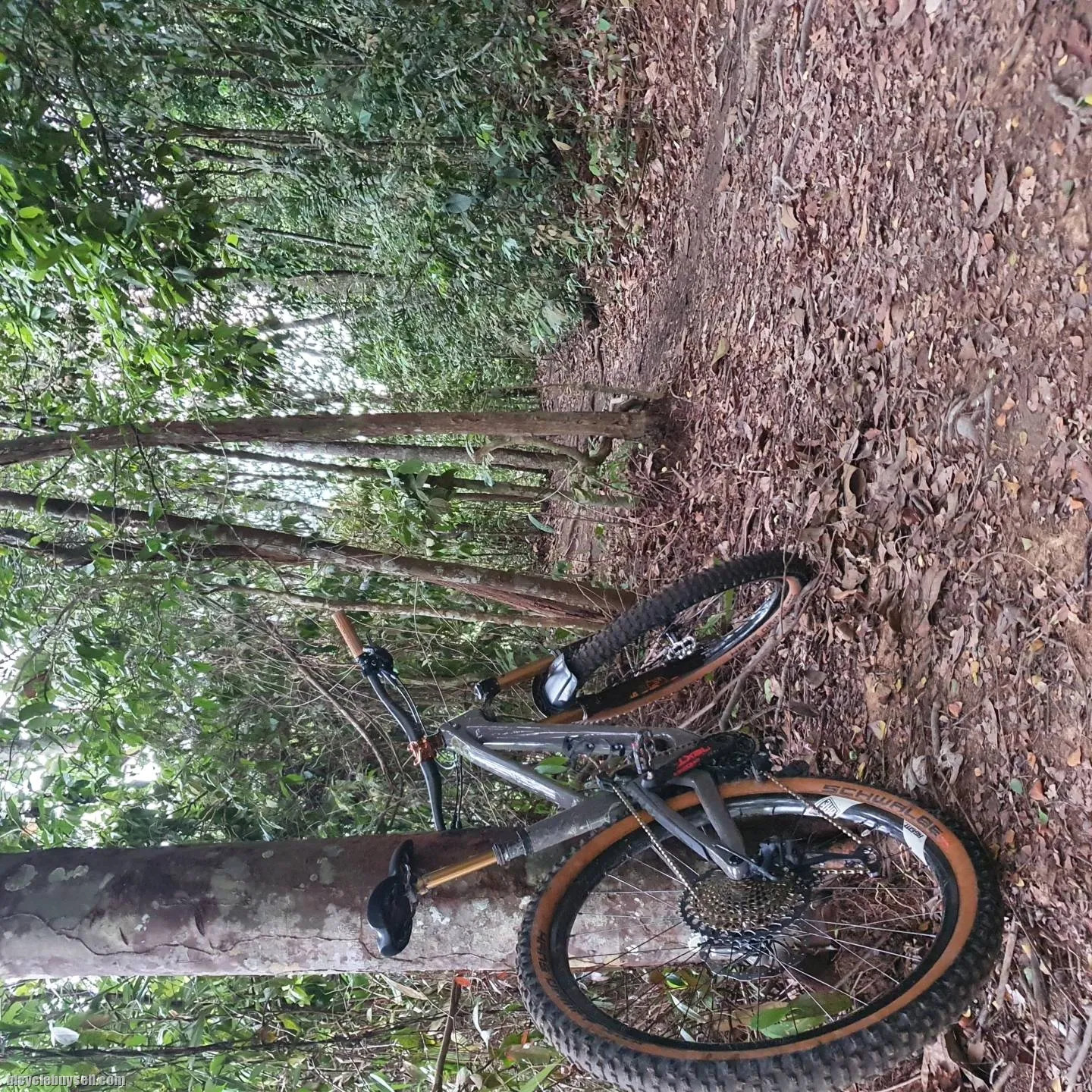 Forbidden Druid M Size Full Bike